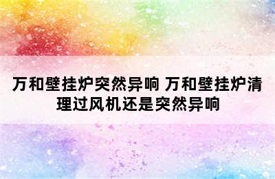 万和壁挂炉突然异响 万和壁挂炉清理过风机还是突然异响